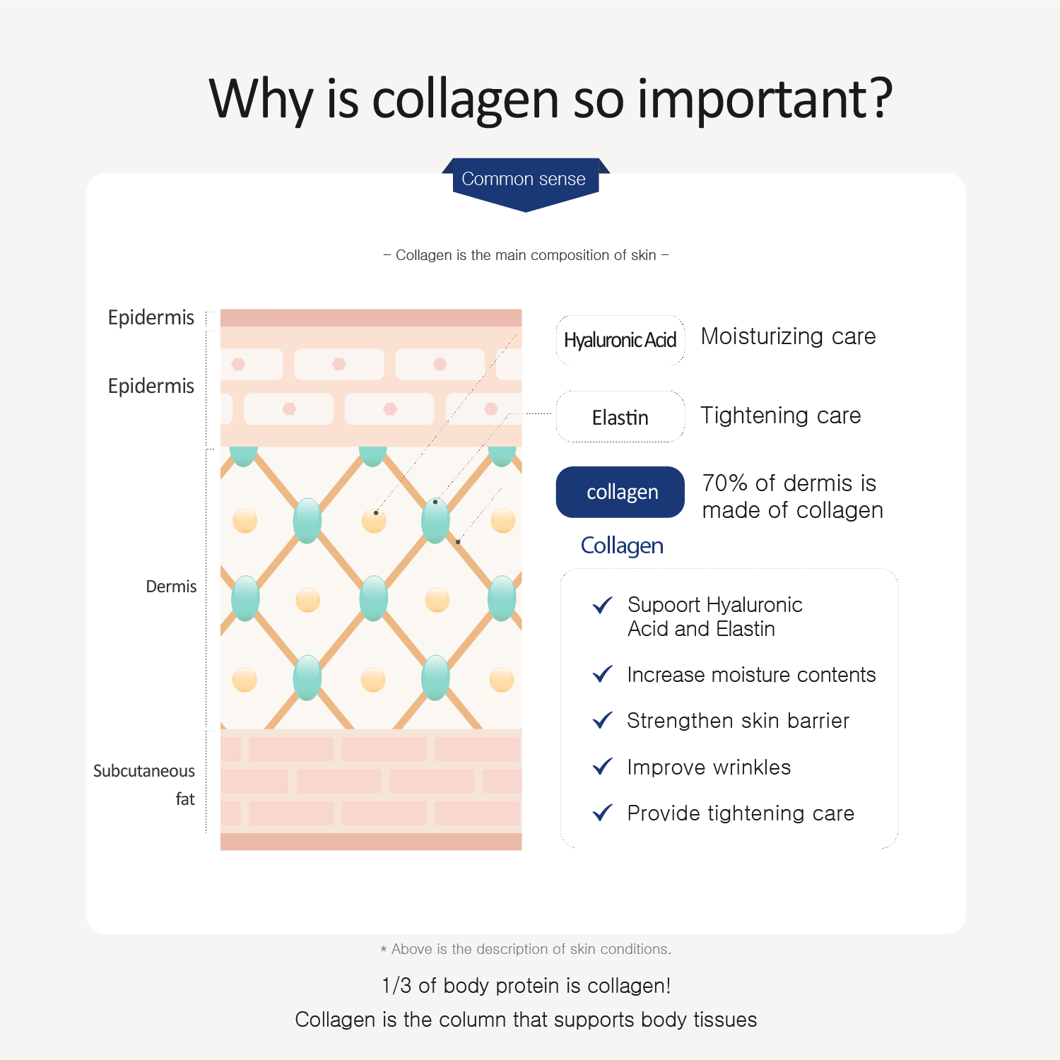 Collagen Body Lotion | 500ml (1+1)